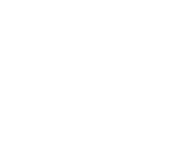 Rodina Guard