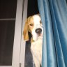 Oleja Underfull