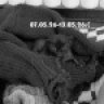 Dima_Eealy