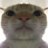 Maksim_Lentini
