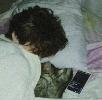 ᴀɴɢᴇʟᴜꜱʜᴀ ʟᴀɴᴅʏꜱʜᴇᴠ