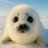 Konstantin_Bong