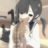 Caitlin_Blood