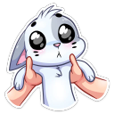 :biscuit_13: