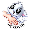 :biscuit_21: