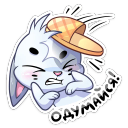 :biscuit_25: