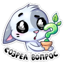 :biscuit_28: