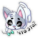 :biscuit_30: