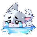 :biscuit_42:
