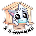 :biscuit_49: